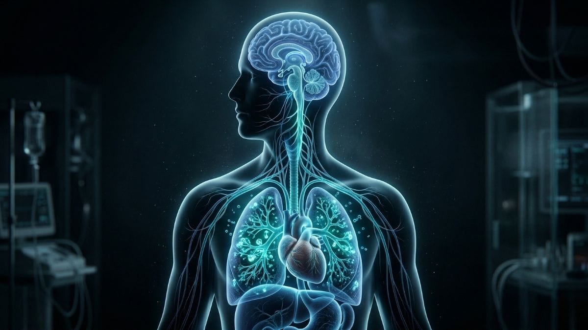 The neurobiology of box breathing, showing the mind-body connection and vagus nerve stimulation for stress relief.
